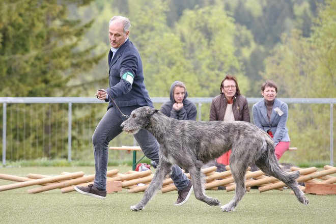 Hladno vreme ni motilo predstavitve pred sodniki. Fotografije: Blaž Košak