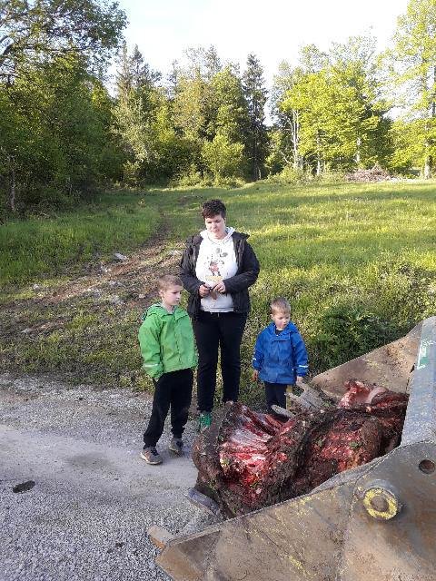 Miloševa žena Anja in otroka niso mogli verjeti, da je kaj takšnega mogoče. FOTO: Osebni arhiv