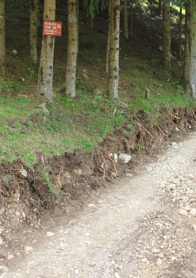 Res ne gre za širitev obstoječe poti? FOTO: Boštjan Fon