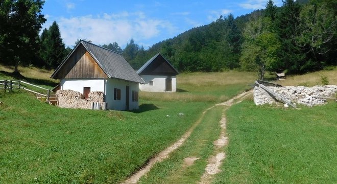 Kolovoz čez Spodnji Vogar, kot je bil nekoč. FOTO: Boštjan Fon