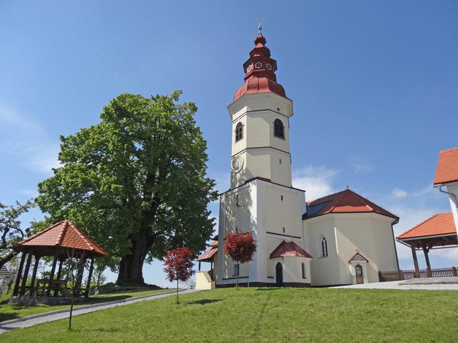 Božjepotna župnijska cerkev Marijinega rojstva