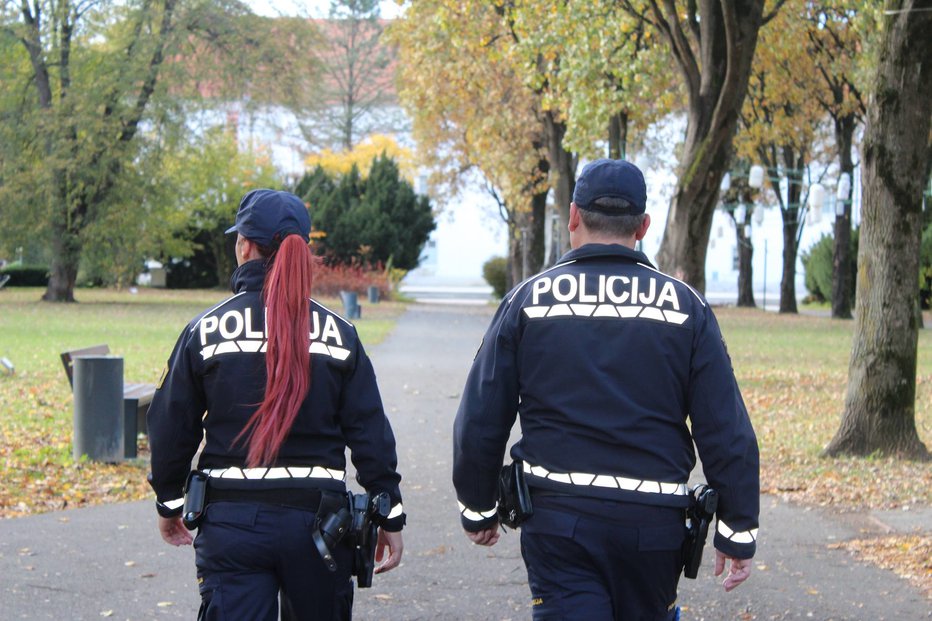 Fotografija: Policisti so ga že prijeli. FOTO: Oste Bakal