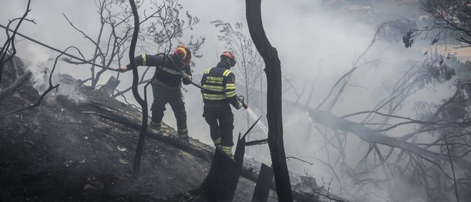 Gasilci so se hitro spopadli z zublji in preprečili najhujše. FOTO: Cropix