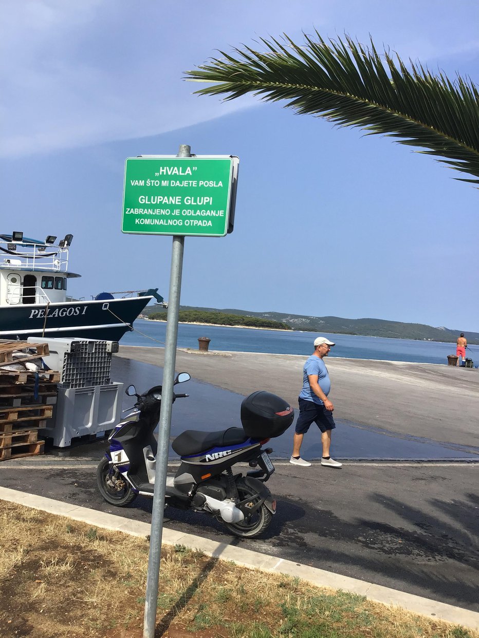 Fotografija: Poletni pogled na posebej zaščiteno, a kljub temu zanemarjeno zelenico na biogradski rivi.