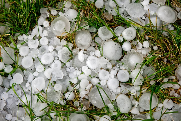 Fotografija: Great balls of hail on the green grass FOTO: Rstelmach Getty Images/istockphoto