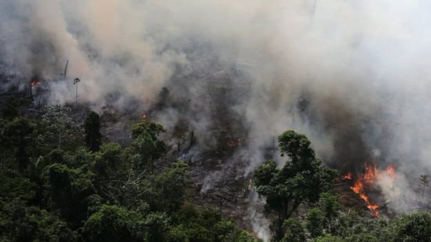 Amazonija gori. FOTOgrafiji: REUTERS