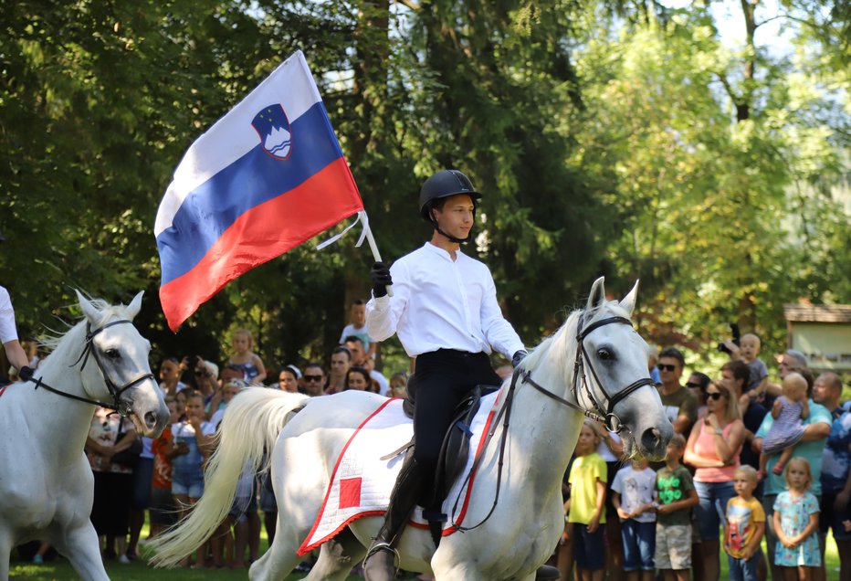 Fotografija: Kdo v Sloveniji sploh skrbi za jezik? FOTO: JoŽe Miklavc