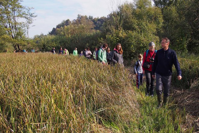 Dogodki ob evropskem dnevu opazovanja ptic so odlična priložnost za prvi korak v spoznavanje njihovega sveta. FOTO: Gregor Bernard