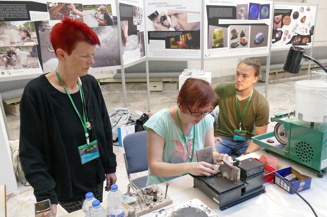 Sodelovala bo tudi višja strokovna šola iz Sežane. FOTO: Primož Hieng