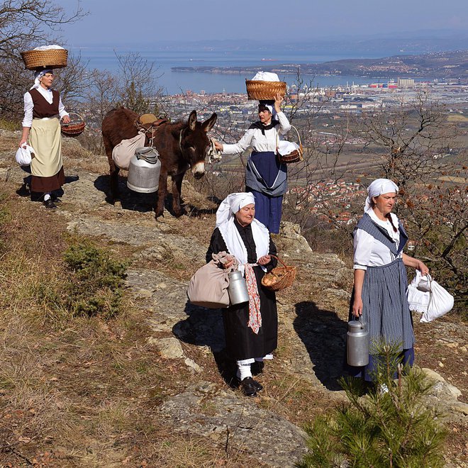 Šavrinke na poti na tržaško tržnico FOTO: Ubald Trnkoczy