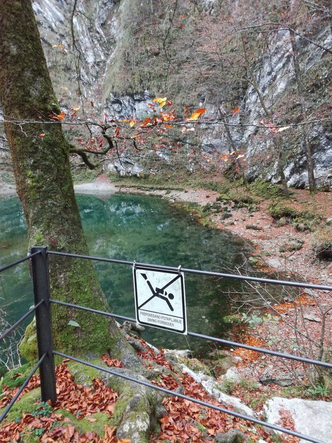 Del geoparka je Divje jezero. Foto: Dušan Malovrh