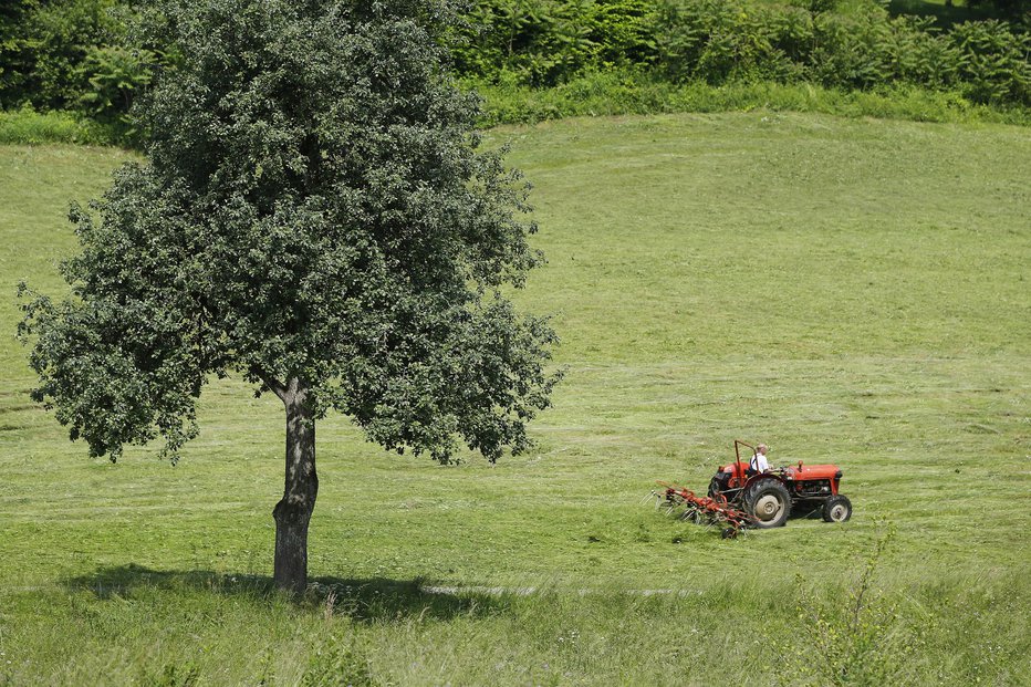 Fotografija: Fotografija je simbolična. FOTO: Leon Vidic, Delo