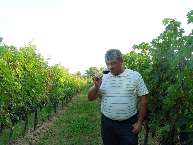 Peter Ferjančič v vinogradu FOTO: Osebni Arhiv