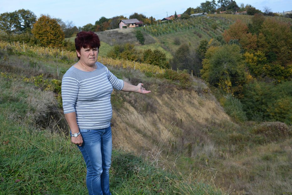 Fotografija: Plaz v Vičancih se je že močno približal hišam in vikendom. FOTO: Oste Bakal