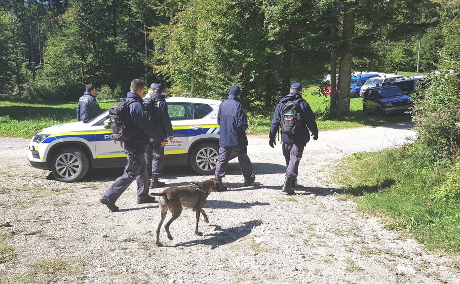 Fotografija: Fotografija je simbolična. FOTO: PU Nova Gorica