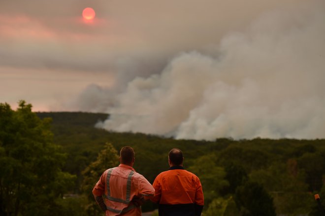 Visoke temperature v Avstraliji ne pojenjajo. FOTO: Peter Parks/Afp