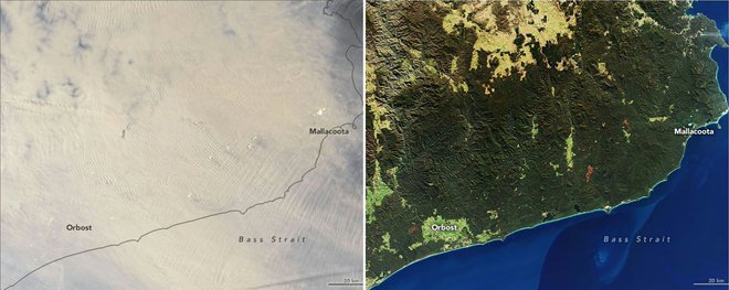 Posnetek, ki je nastal 2. januarja, prikazuje debelo plast dima, ki se vali nad Victorio in Novim Južnim Walesom. Za primerjavo so pri Nasi dodali fotografijo iz 24. junija 2019. 
FOTO: NASA Earth Observatory/AFP