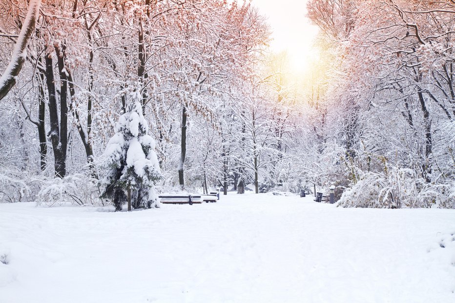 Fotografija: NA jugu države bo sneg rahlo naletaval še v nedeljo dopoldne. FOTO: Freeskyline Getty Images/istockphoto