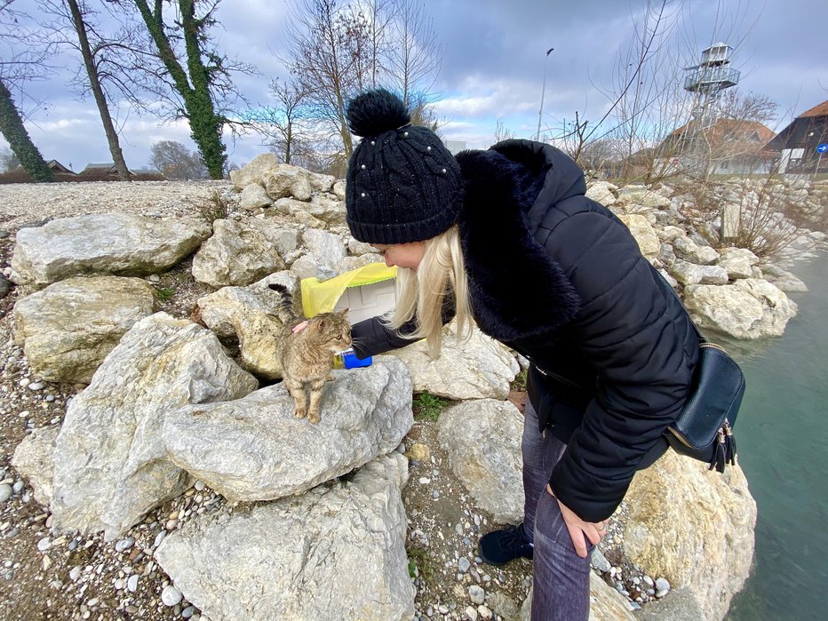 Fotografija: Svojih ljubljenčkov nima, zato toliko raje nahrani potepuške mucke.