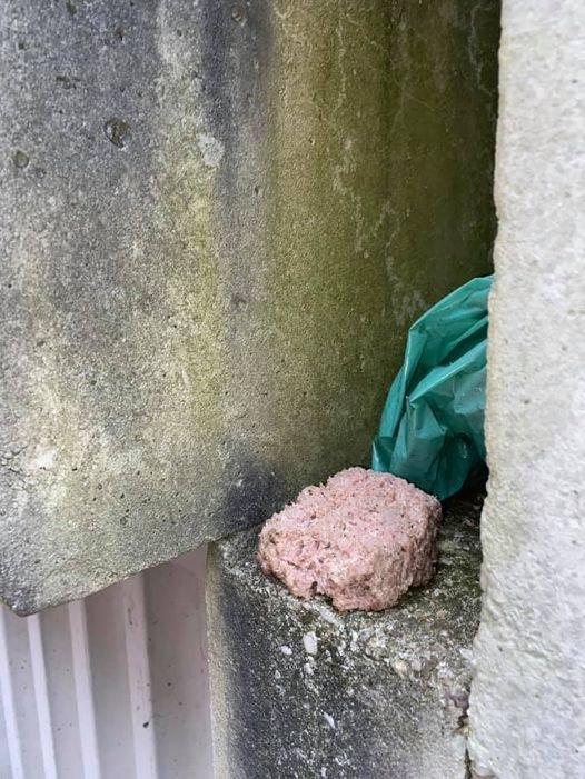 Fotografija: V mesni polpet je pokvarjenec zamešal koščke stekla. FOTO: Valerija/Srce Za Bulle