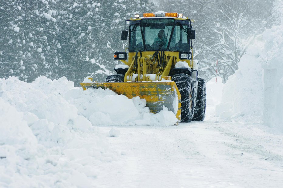 Fotografija: Pristojne službe po njegovem ne opravljajo svojega dela. FOTO: Kellymarken/Getty Images