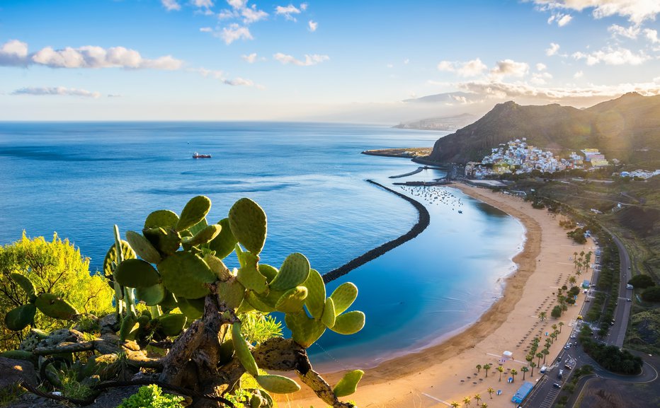 Fotografija: Tenerife je priljubljena počitniška destinacija. FOTO: Getty Images, Istockphoto