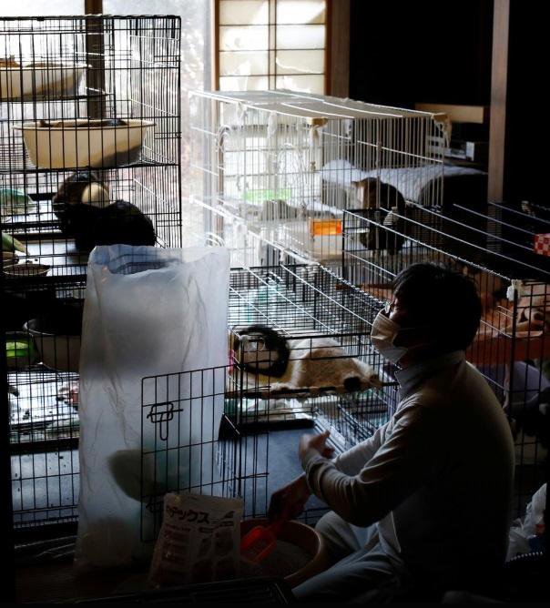 Fotografija: Ne bo zapustil Fukušime, dokler ne umre še zadnja mačka. FOTO: Reuters