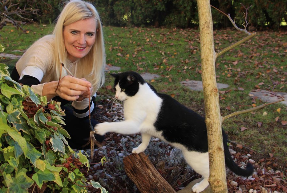 Fotografija: Tanja Zajc Zupan z muckom Mikijem, ki je sam prišel k njihovi hiši. Po hudi nesreči, ki jo je doživel pred dnevi, pa uspešno okreva. FOTO: OSEBNI ARHIV