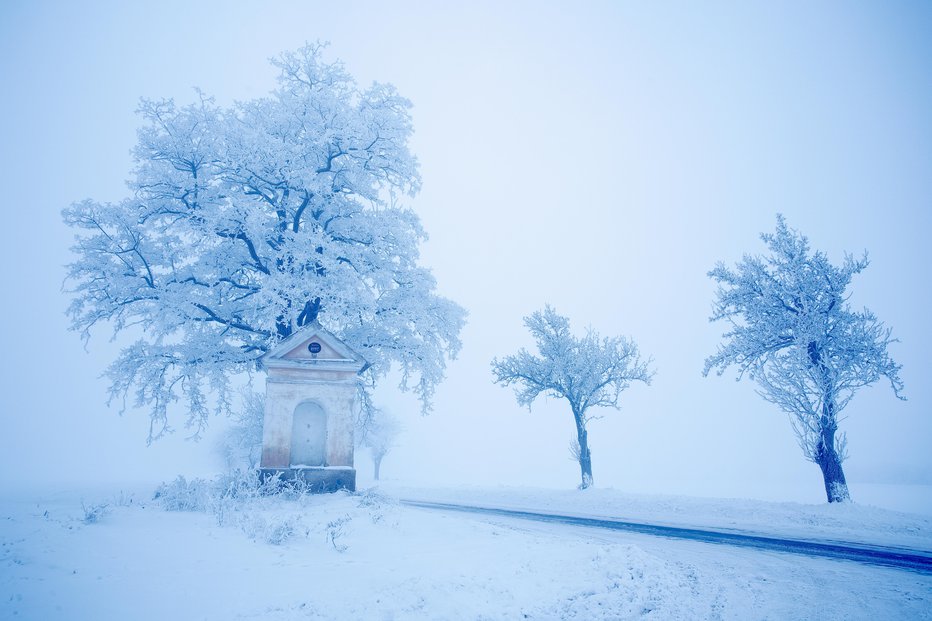 Fotografija: Napovedi o snegu niso bile prvoaprilska šala. FOTO: Ondrej Prosicky Getty Images/Istockphoto