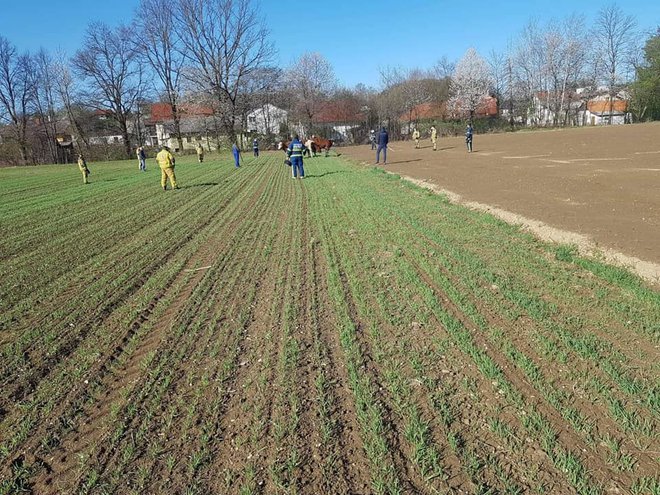 Gasilci so nad Ptujem reševali telice. FOTO: 112 Ptuj