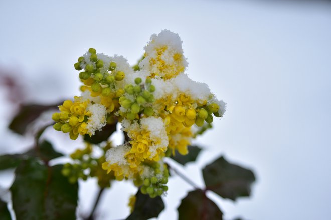 Vnanje Gorice. FOTO: Bralec Zlatko