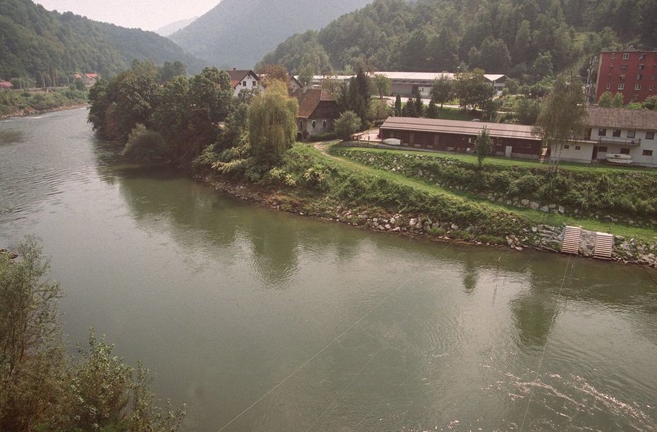 Fotografija: V Savo je pri Hrastniku iztekel mazut. FOTO: Slovenske Novice