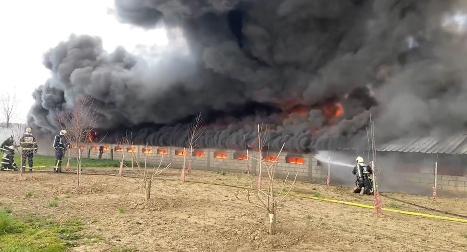 Fotografija: Gasilci so se borili z močnimi plameni. FOTO: 112 Ptuj