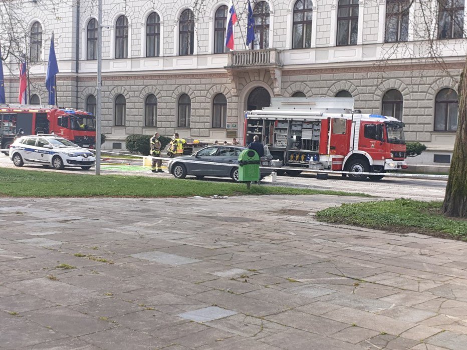 Fotografija: Dogajanje pred predsedniško palačo. FOTO: Twitter/Zmago Jelinčič