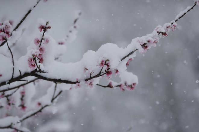 April še maha s hladnim repom, spet nas je dosegla polarna zračna masa. FOTO: Leon Vidic