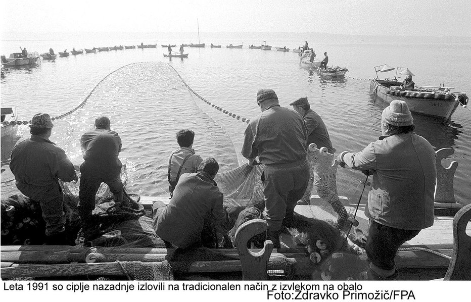 Fotografija: Po starem FOTO: Zdravko Primožič