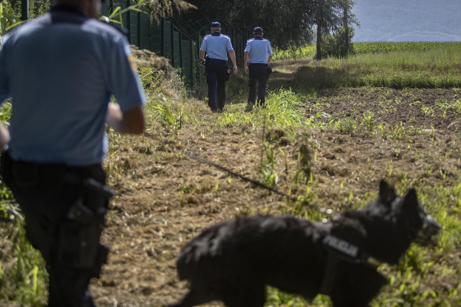 Fotografija: Fotografija je simbolična. FOTO: Voranc Vogel, Delo