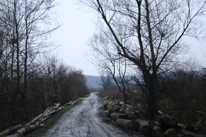 Na blatni cesti na Rakovi jelši je storilec v zasedi čakal žrtev. FOTO: Vojko Zakrajšek