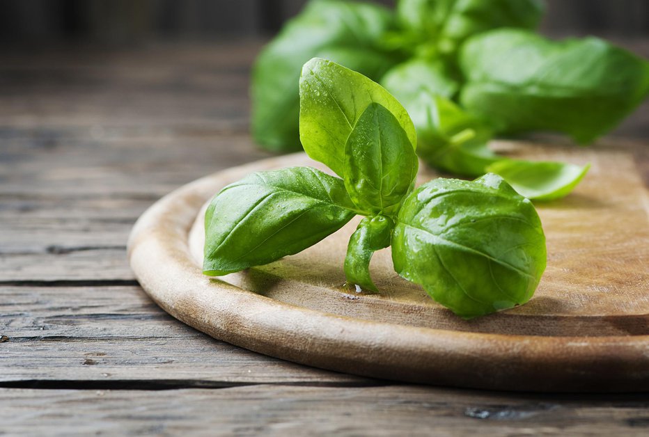 Fotografija: Aromatična je in zdrava. FOTO: Ocsanaden/Gettyimages