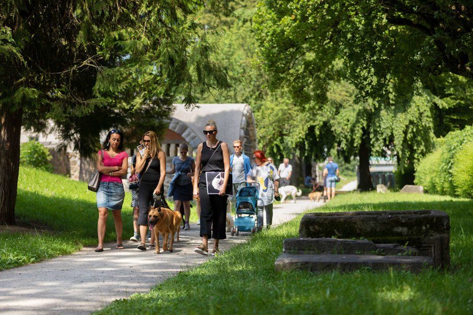 Fotografija: Vodeni sprehodi s povodcem v roki po arheološkem parku Emona FOTO: ANDREJ PEUNIK