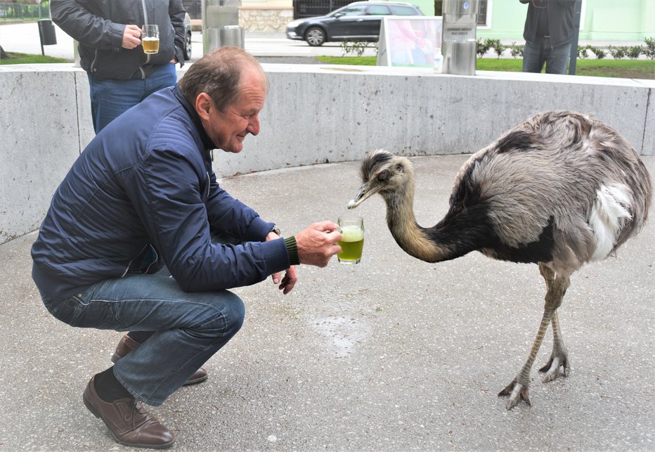 Fotografija: Menda mu hmeljev napitek ni bil preveč všeč.