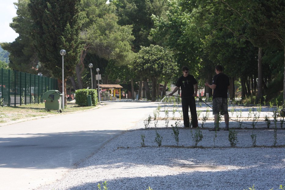 Fotografija: Policisti so morali večkrat posredovati zaradi nasilnega vedenja (simbolična fotografija). FOTO: Boris Šuligoj