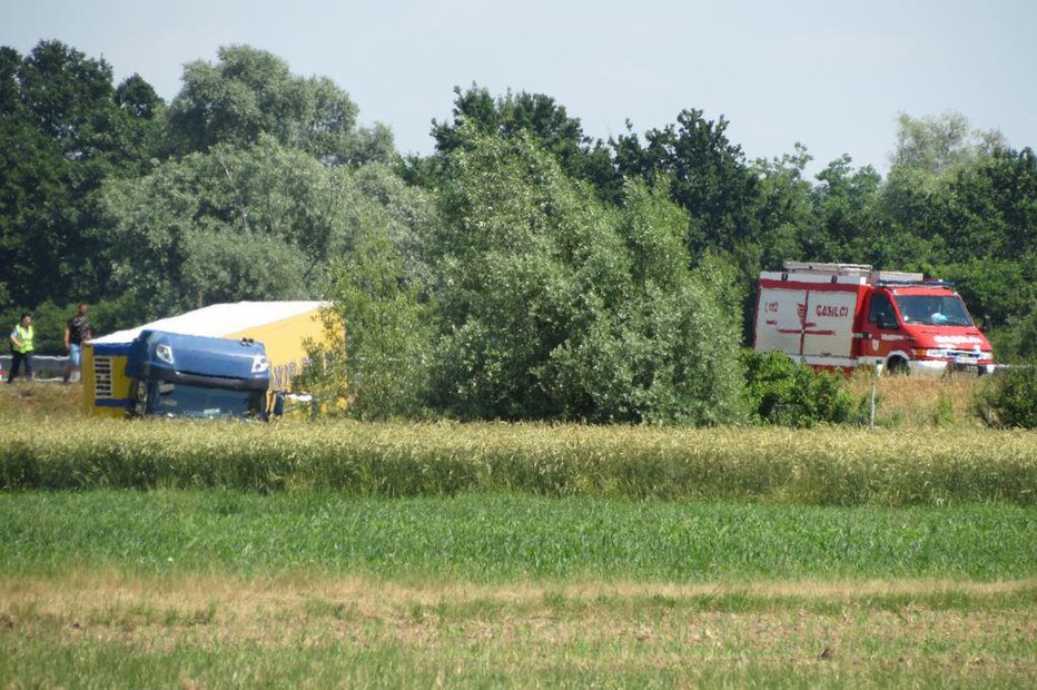 Fotografija: Vse skupaj se je dokaj srečno končalo. FOTO: Oste Bakal