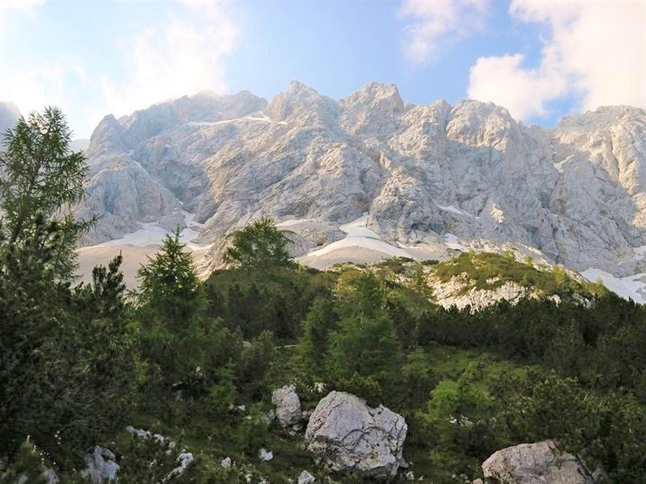 Fotografija: Zmagovalka je Koroška Rinka s Kranjske koče na Ledinah Foto: Irena Mušič Habjan