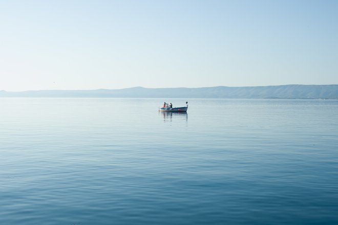 Vsi smo v istem čolnu, le da eni veslajo, drugi pa lovijo ribe. FOTO: MATEJ FIŠER