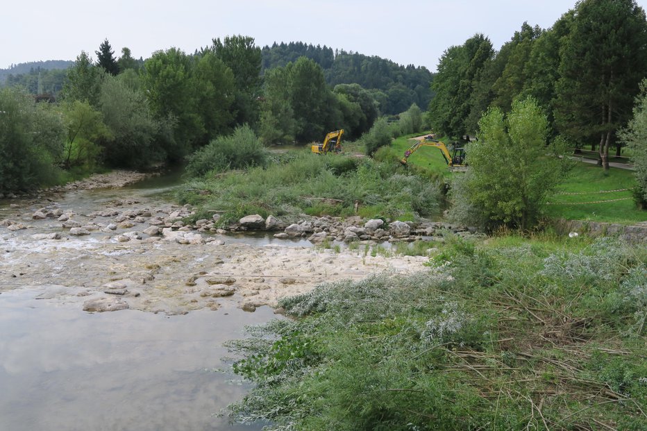 Fotografija: Odstranjevanje naplavin in odvečnega grmovja iz struge Kamniške Bistrice na Viru pri Domžalah FOTO: JANEZ PETKOVŠEK