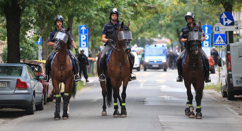 Fotografija: Policija je preprečila, da bi prišlo do stika med navijači obeh ekip (simbolična fotografija). FOTO: Tadej Regent, Delo