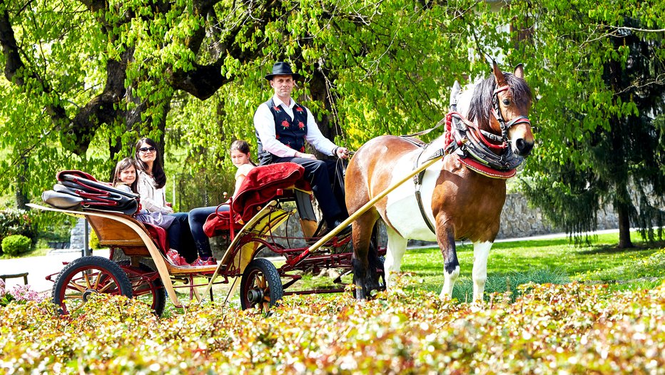 Fotografija: Fijaker je že 25. leto. FOTO: Rok Mučič