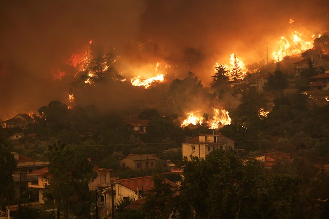 Strašni požari v Grčiji. FOTO: Stringer, Reuters