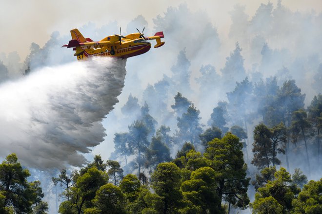 Strašni požari v Grčiji. FOTO: Alexandros Avramidis, Reuters